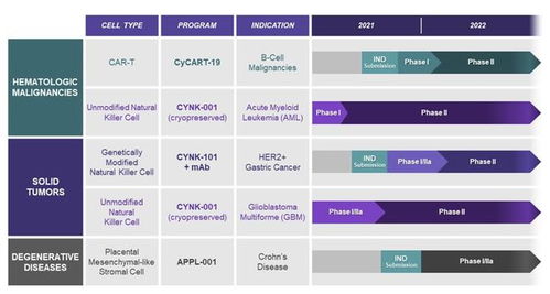 FDA授予即用型胎盤來源NK細胞療法快速通道資格，開辟白血病治療新途徑