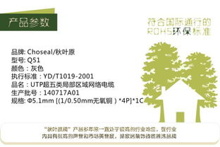 Q51秋葉原超五類網線 性能卓越的家裝與工程網絡解決方案